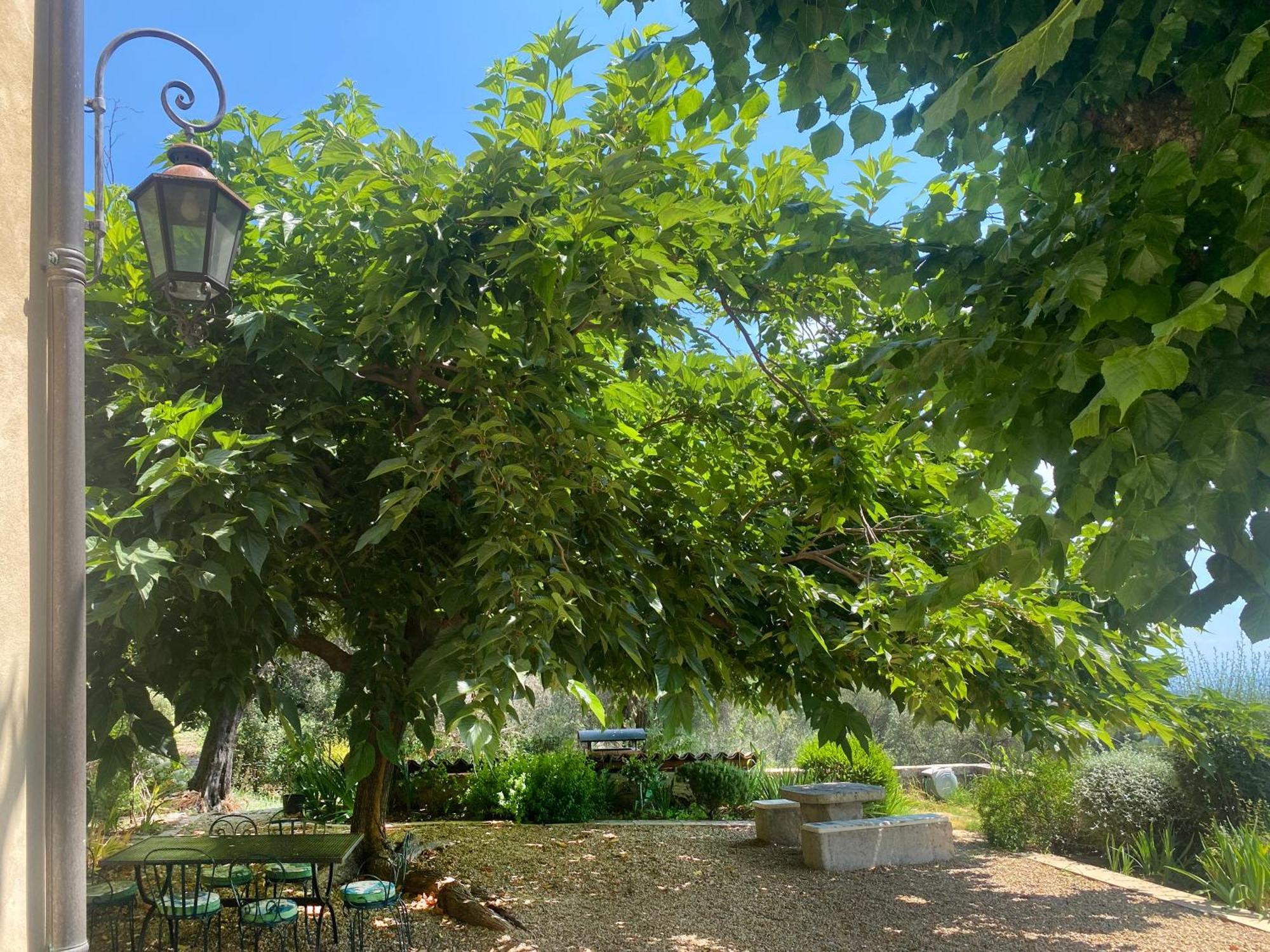 Sainte Therese Apartment